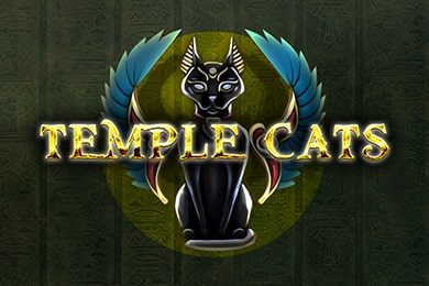 Templecats слот онлайн 1ГО Казино
