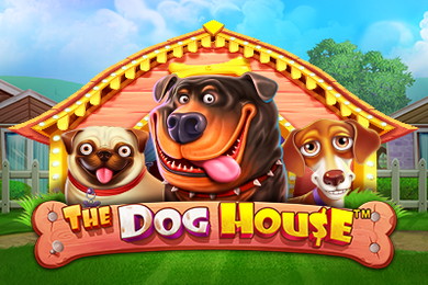 The Dog House слот 1ГО Казино